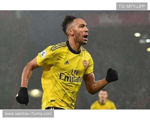 卫报：新财务规则实施后，英超球队无法以出售酒店或女队钻空子